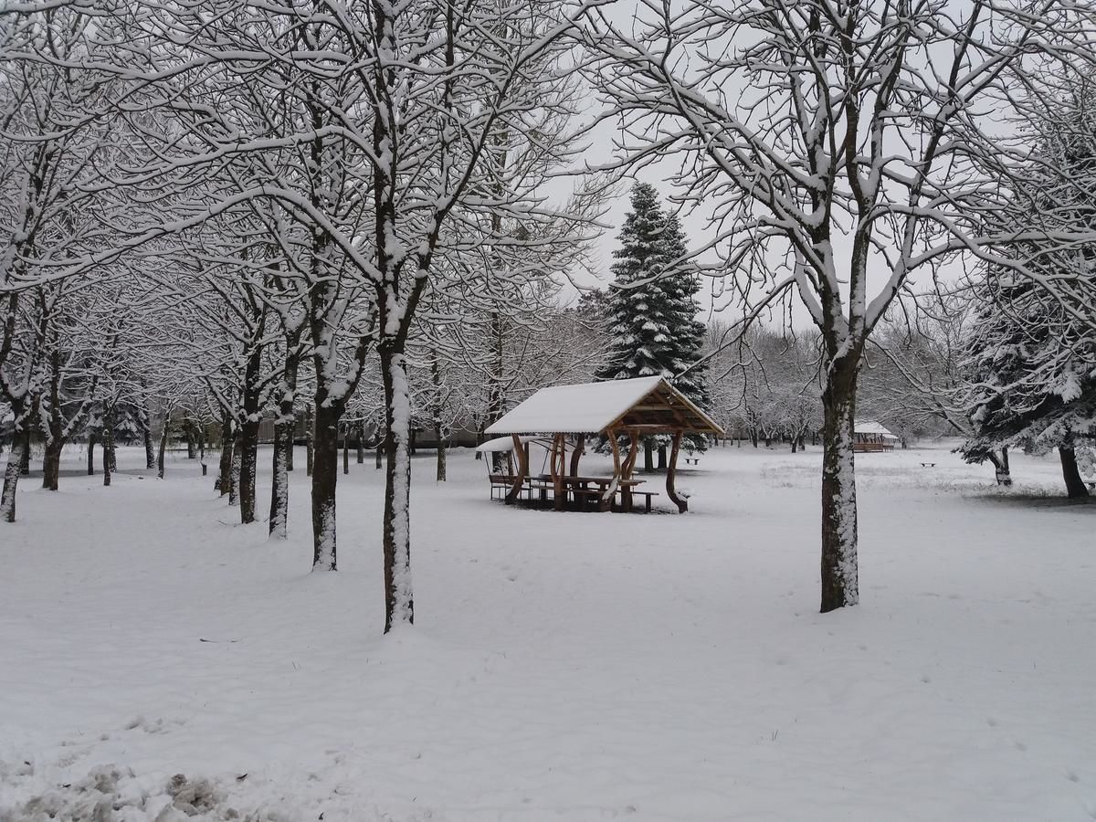 Отель Туристско-оздоровительный комплекс Пышки Гродно-38